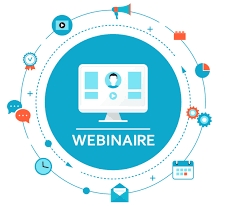 Webinaire sur le rapport IGAS/IGF 2024 concernant les ESAT